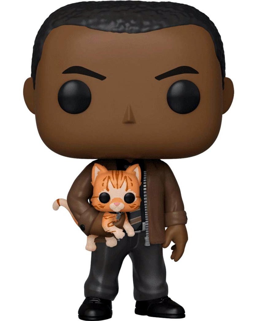 A:/themes/public/images/collages/misc/funko/movies/Nick Fury Cat - Captain Marvel.jpg